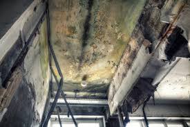 Best Forensic Mold Investigation in Gman, IL